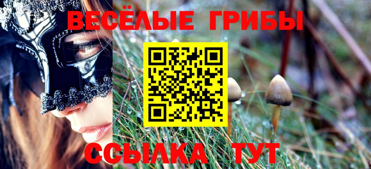 Галлюциногенные грибы MAGIC MUSHROOMS Лениногорск