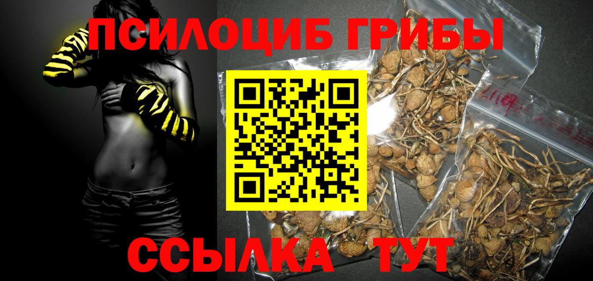 наркошоп  Псилоцибиновые грибы Magic Shrooms  Вход с VPN  Псилоцибиновые грибы Cubensis  Лениногорск 